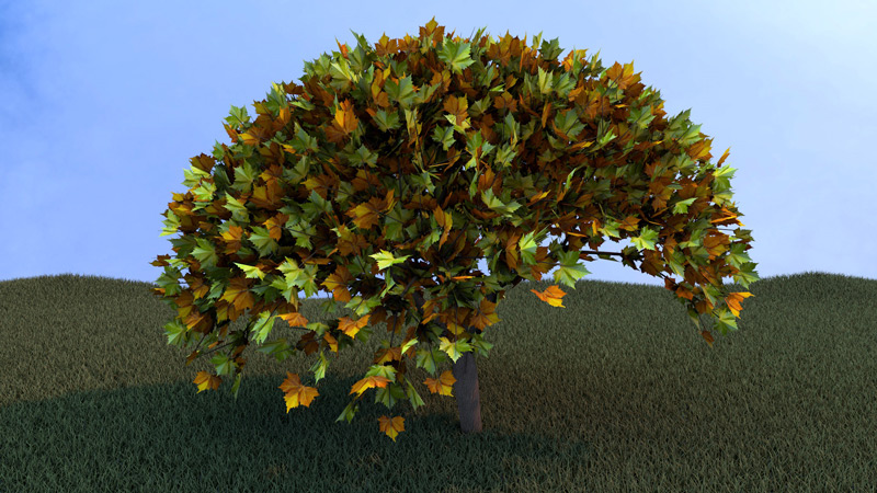 3D Modelling Baum Tutorial